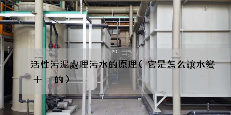 活性污泥處理污水的原理(它是怎么讓水變干凈的)